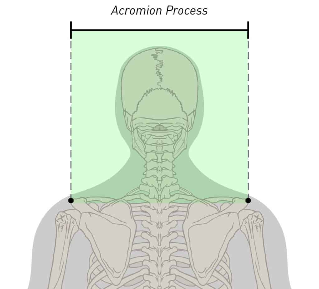 The acromion process is the bony protrusion at the outer front of your shoulders. 