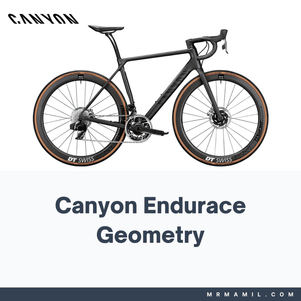 Canyon Endurace Frame Geometry