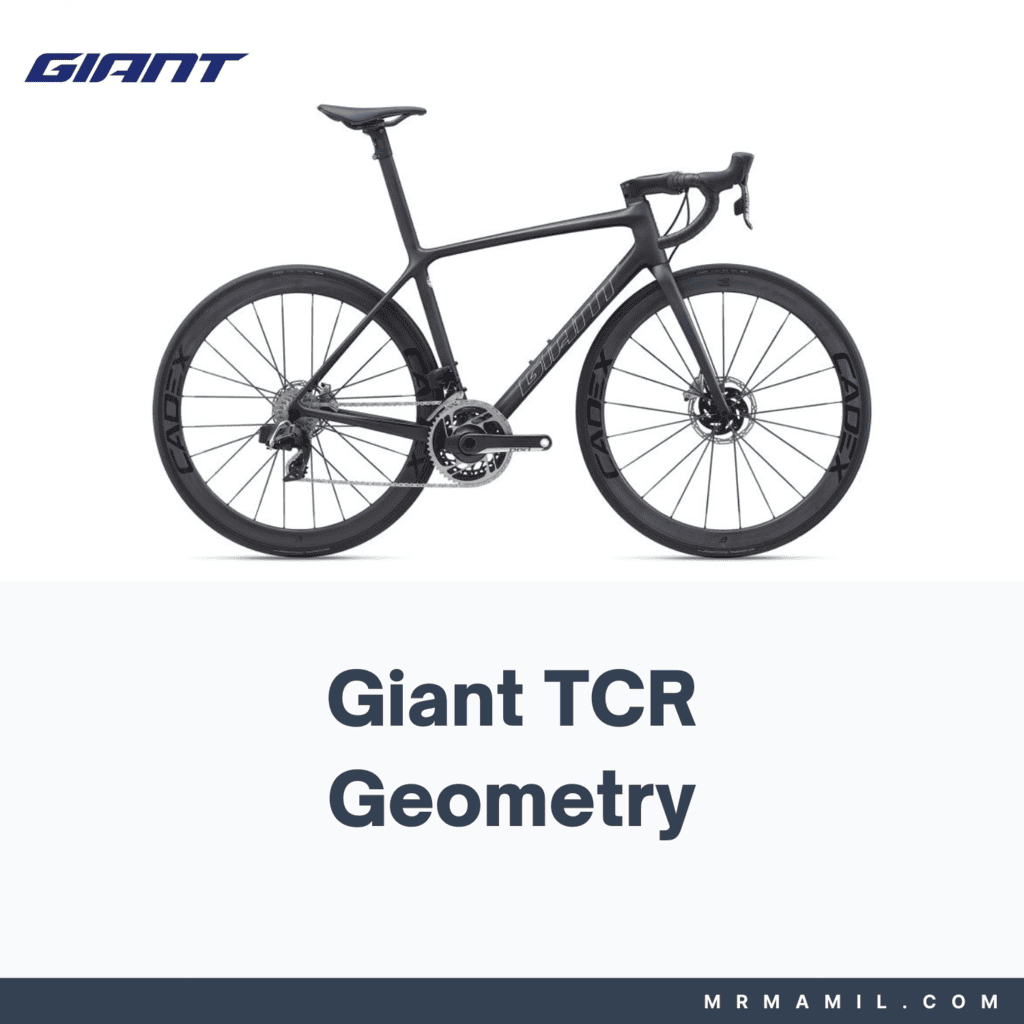 Giant TCR Frame Geometry