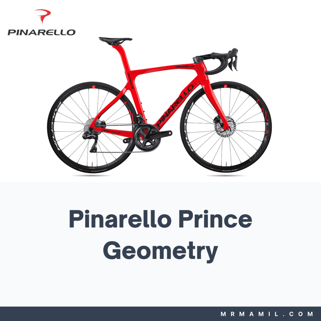 Pinarello Prince Frame Geometry