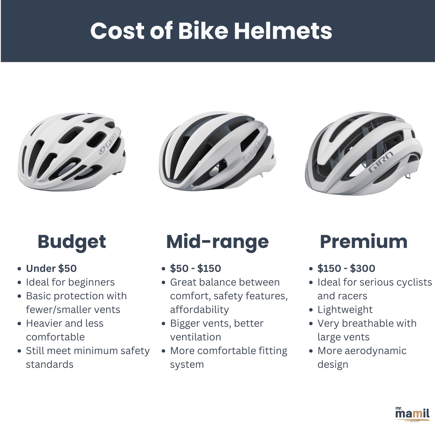Cost of Bicycle Helmets